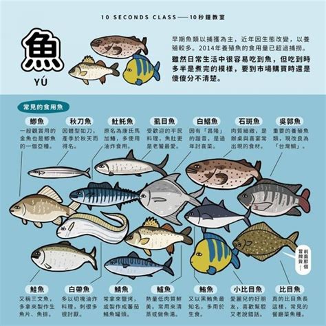 魚 排名